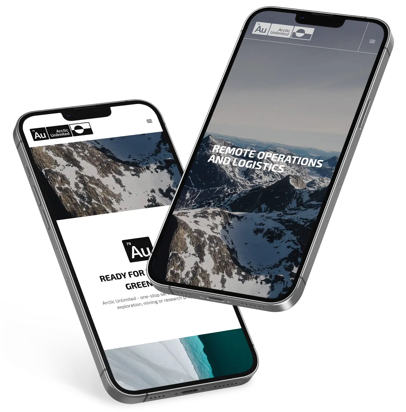 Webdesign til Arctic Unlimited